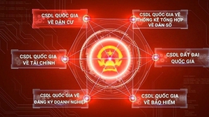 Cắt giảm c&#225;c th&#224;nh phần hồ sơ đ&#227; c&#243; th&#244;ng tin trong cơ sở dữ liệu quốc gia 