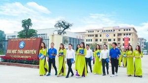 S&#225;p nhập 2 Trường Cao đẳng Y tế v&#224;o 2 Trường Đại học