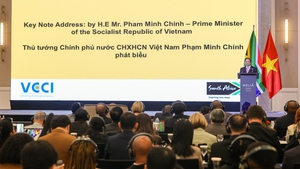 Đẩy mạnh hợp t&#225;c, kết nối giữa c&#225;c doanh nghiệp Việt Nam – Nam Phi