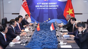 L&#224;m s&#226;u sắc quan hệ đối t&#225;c chiến lược to&#224;n diện Việt Nam-Singapore