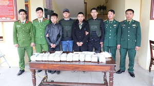 Triệt ph&#225; đường d&#226;y ma t&#250;y lớn