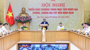 Ph&#242;ng chống v&#224; v&#244; hiệu h&#243;a c&#225;c hoạt động về tội phạm ma t&#250;y