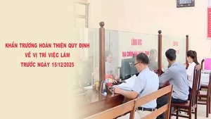 Khẩn trương ho&#224;n thiện quy định về vị tr&#237; việc l&#224;m trước ng&#224;y 15/12/2025