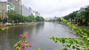 Sức sống mới tr&#234;n d&#242;ng T&#244; Lịch