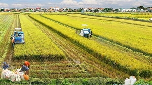 Đối tượng được miễn thuế sử dụng đất n&#244;ng nghiệp