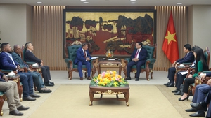 Việt Nam - Solomon: Th&#250;c đẩy hợp t&#225;c lĩnh vực gi&#224;u tiềm năng