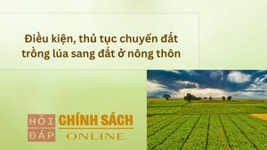 Điều kiện, thủ tục chuyển đất trồng l&#250;a sang đất ở n&#244;ng th&#244;n