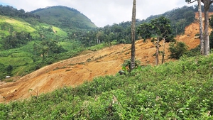 Sạt lở ở miền n&#250;i H&#249;ng Sơn, Đ&#224; Nẵng