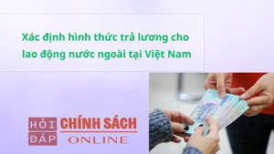 X&#225;c định h&#236;nh thức trả lương cho lao động nước ngo&#224;i tại Việt Nam