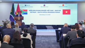 Diễn đàn doanh nghiệp Việt Nam - Nam Phi