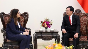 Sẵn sàng hỗ trợ Palestine một số lĩnh vực mà Việt Nam có kinh nghiệm