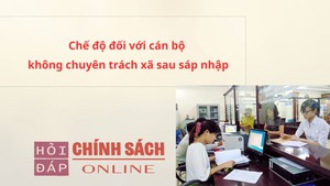 Chế độ đối với c&#225;n bộ kh&#244;ng chuy&#234;n tr&#225;ch x&#227; sau s&#225;p nhập