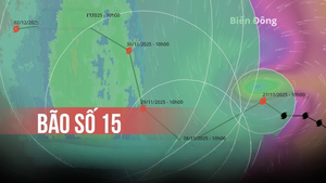 Chủ động ph&#242;ng, tr&#225;nh, ứng ph&#243; b&#227;o số 15