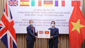 Viện trợ của Việt Nam cho nước ngo&#224;i