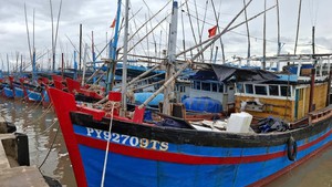 Bão Kalmaegi: Gia Lai cho học sinh nghỉ học; Đắk Lắk cấm biển, lập 3 đoàn kiểm tra