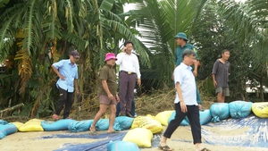 Đ&#224; Nẵng khẩn trương k&#237;ch hoạt c&#225;c phương &#225;n ứng ph&#243; với b&#227;o số 13 Kalmaegi