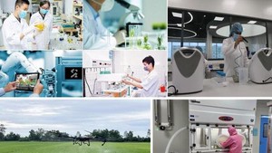 Ngành hoá chất lấy đổi mới sáng tạo, KHCN làm động lực phát triển