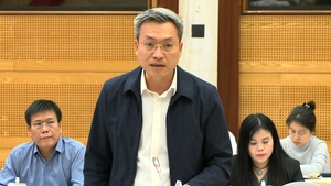 Điều tra mở rộng vụ án người nổi tiếng: Kinh doanh hàng giả và trốn thuế trên mạng