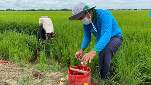 Sử dụng ph&#226;n b&#243;n, thuốc bảo vệ thực vật g&#226;y &#244; nhiễm nguồn nước bị phạt tới 15 triệu đồng