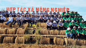 Th&#250;c đẩy mạnh mẽ li&#234;n kết giữa hợp t&#225;c x&#227; v&#224; doanh nghiệp