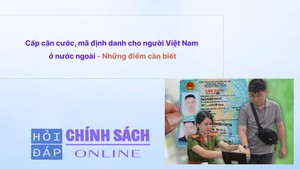 Cấp căn cước, m&#227; định danh cho người Việt Nam ở nước ngo&#224;i - Những điểm cần biết