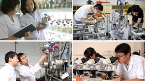 Phê duyệt Chiến lược quốc gia về phát triển đội ngũ trí thức