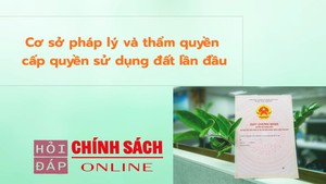 Cơ sở pháp lý và thẩm quyền cấp quyền sử dụng đất lần đầu