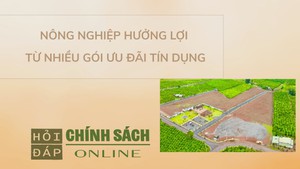 Nông nghiệp hưởng lợi từ nhiều gói ưu đãi tín dụng