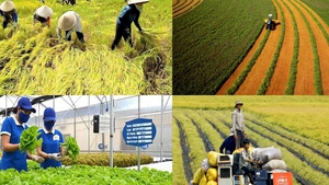 Tín dụng xanh thúc đẩy chuyển đổi nông nghiệp Việt Nam theo hướng sản xuất bền vững