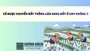 Có được chuyển đất trồng lúa sang đất ở hay không?