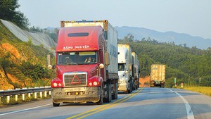 Điều hành phương tiện không có giấy phép kinh doanh vận tải bị phạt 16 triệu đồng