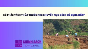 Có phải tách thửa trước khi chuyển mục đích sử dụng đất?