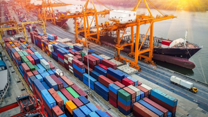 Thành lập Đoàn đàm phán Chính phủ về thỏa thuận thương mại đối ứng với Hoa Kỳ