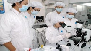 Chính phủ ban hành chế độ, chính sách đối với chuyên gia cao cấp là cán bộ, công chức, viên chức