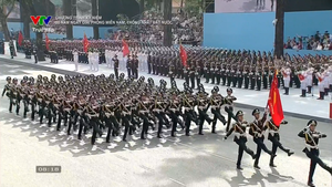 Khối lực lượng vũ trang Qu&#226;n đội diễu binh, diễu h&#224;nh