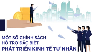 Infographics: Một số chính sách hỗ trợ đặc biệt phát triển kinh tế tư nhân