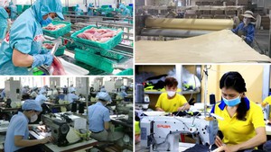 Chính phủ ra Nghị quyết triển khai một số cơ chế, chính sách đặc biệt phát triển kinh tế tư nhân