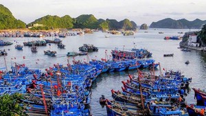 Ph&#226;n cấp, ph&#226;n quyền cho địa phương quản l&#253; luồng đường thủy nội địa