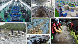 Những điểm mới đột ph&#225; để kinh tế tư nh&#226;n vươn m&#236;nh