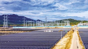 Gi&#225; điện phản &#225;nh chi ph&#237; thực: Đ&#242;n bẩy cho đầu tư v&#224; ti&#234;u d&#249;ng bền vững
