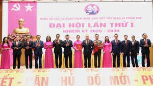 Đại hội Đảng bộ c&#225;c cơ quan tham mưu, gi&#250;p việc của Đảng ủy Ch&#237;nh phủ lần thứ nhất