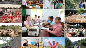 Xây dựng Đảng bộ NHCSXH Trung ương vững mạnh toàn diện, đồng hành cùng đất nước