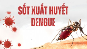 Ph&#242;ng ngừa sốt xuất huyết Dengue - Chỉ diệt muỗi l&#224; chưa đủ
