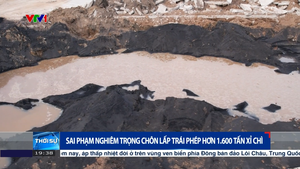 Sai phạm nghi&#234;m trọng ch&#244;n lấp tr&#225;i ph&#233;p hơn 1.600 tấn xỉ ch&#236;