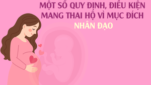Infographics: Một số quy định, điều kiện mang thai hộ vì mục đích nhân đạo