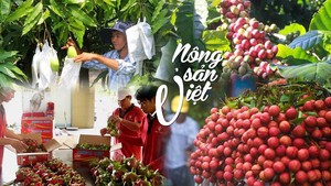 Mở rộng thị trường cho nông sản Việt
