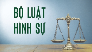 R&#224; so&#225;t một số điều của Bộ luật H&#236;nh sự