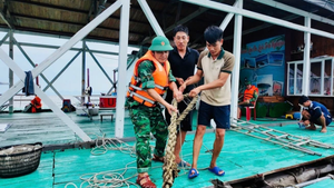 Các địa phương chủ động ứng phó với bão Wipha