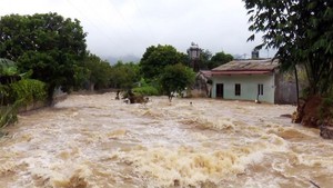  Lũ lớn lịch sử tại Nghệ An: Ch&#237;nh quyền, qu&#226;n v&#224; d&#226;n chung tay ứng ph&#243;, khắc phục hậu quả