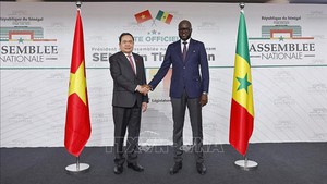 Đưa quan hệ Việt Nam - Senegal đi v&#224;o chiều s&#226;u, hiệu quả